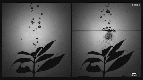 Гидрофобную сетку ученые превратили в микрорассеиватель