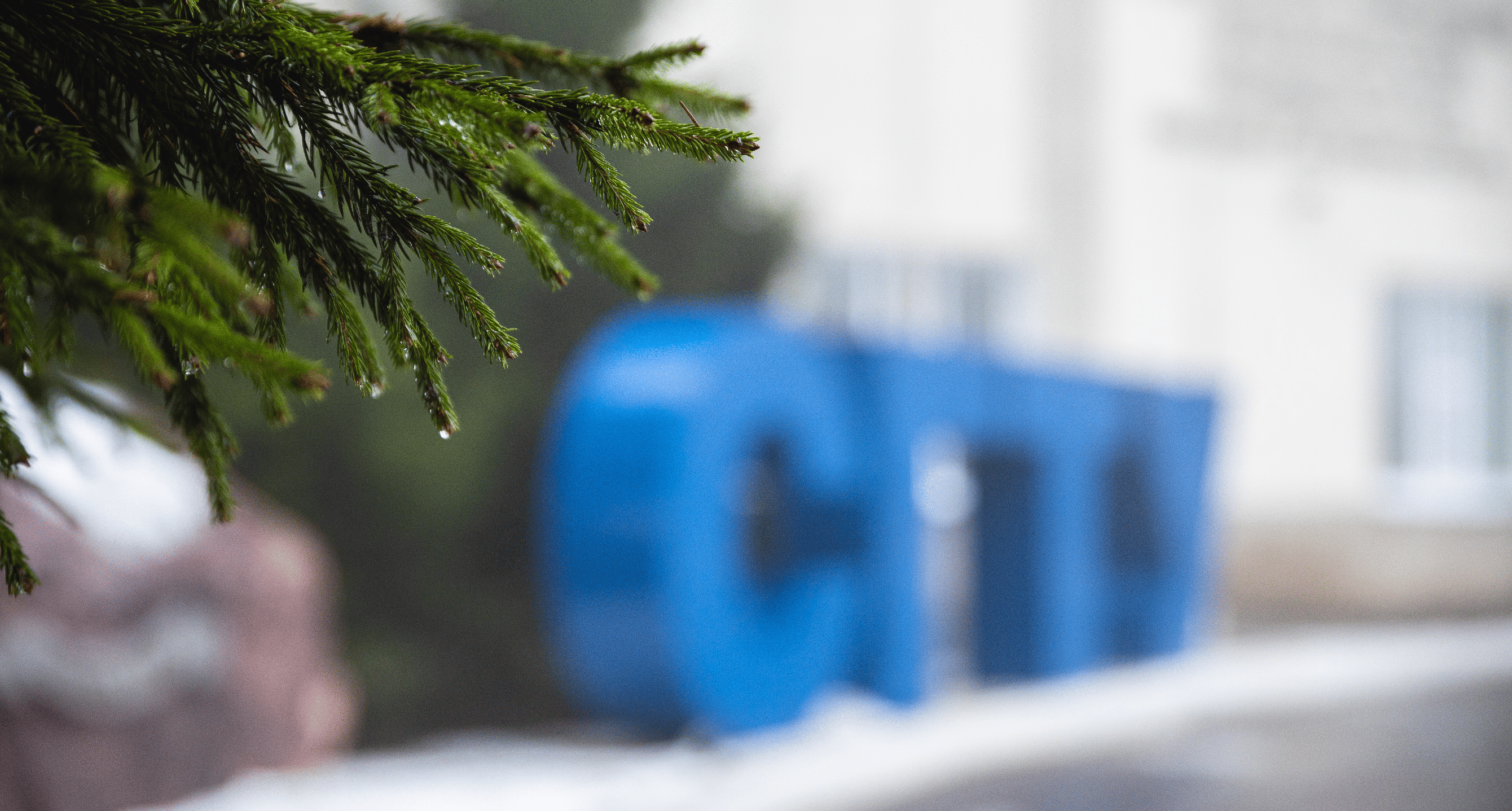 Сотрудники СГТУ могут принять участие в конкурсе ГТО