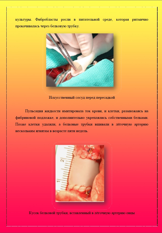 Студентами подготовлен очередной номер биоинновационного дайджеста