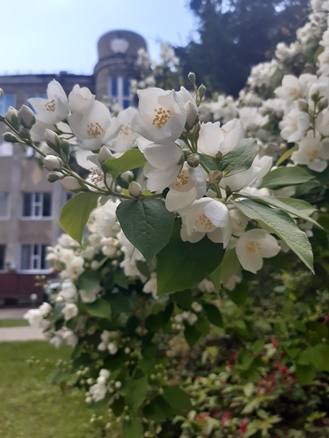 Завершилось обучение по программам подготовки к ЕГЭ и ОГЭ