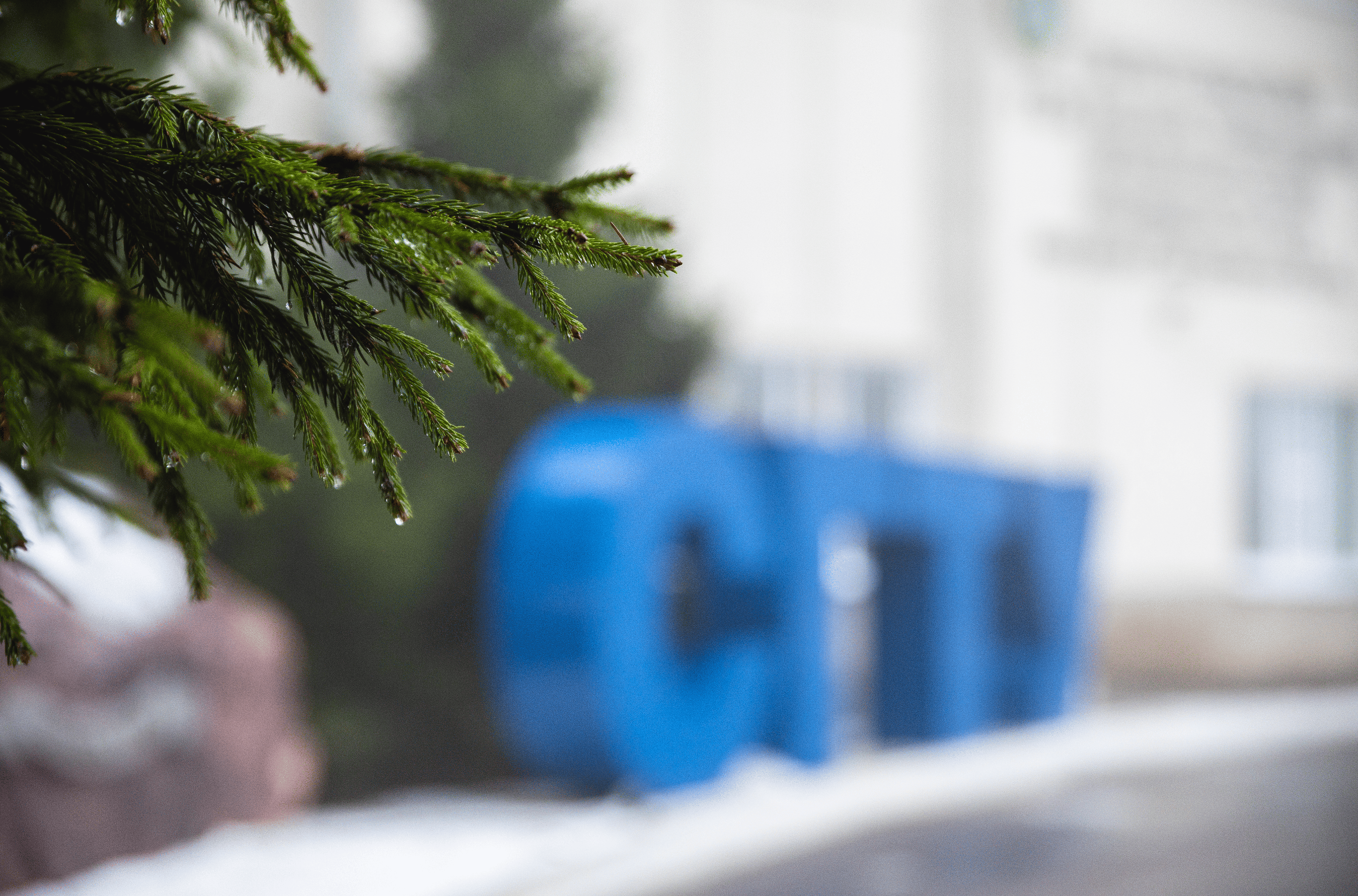 Планируются поездки