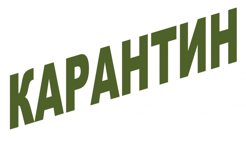 Студенческая олимпиада переносится на апрель