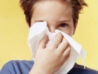 Приостановлены занятия на очной форме обучения