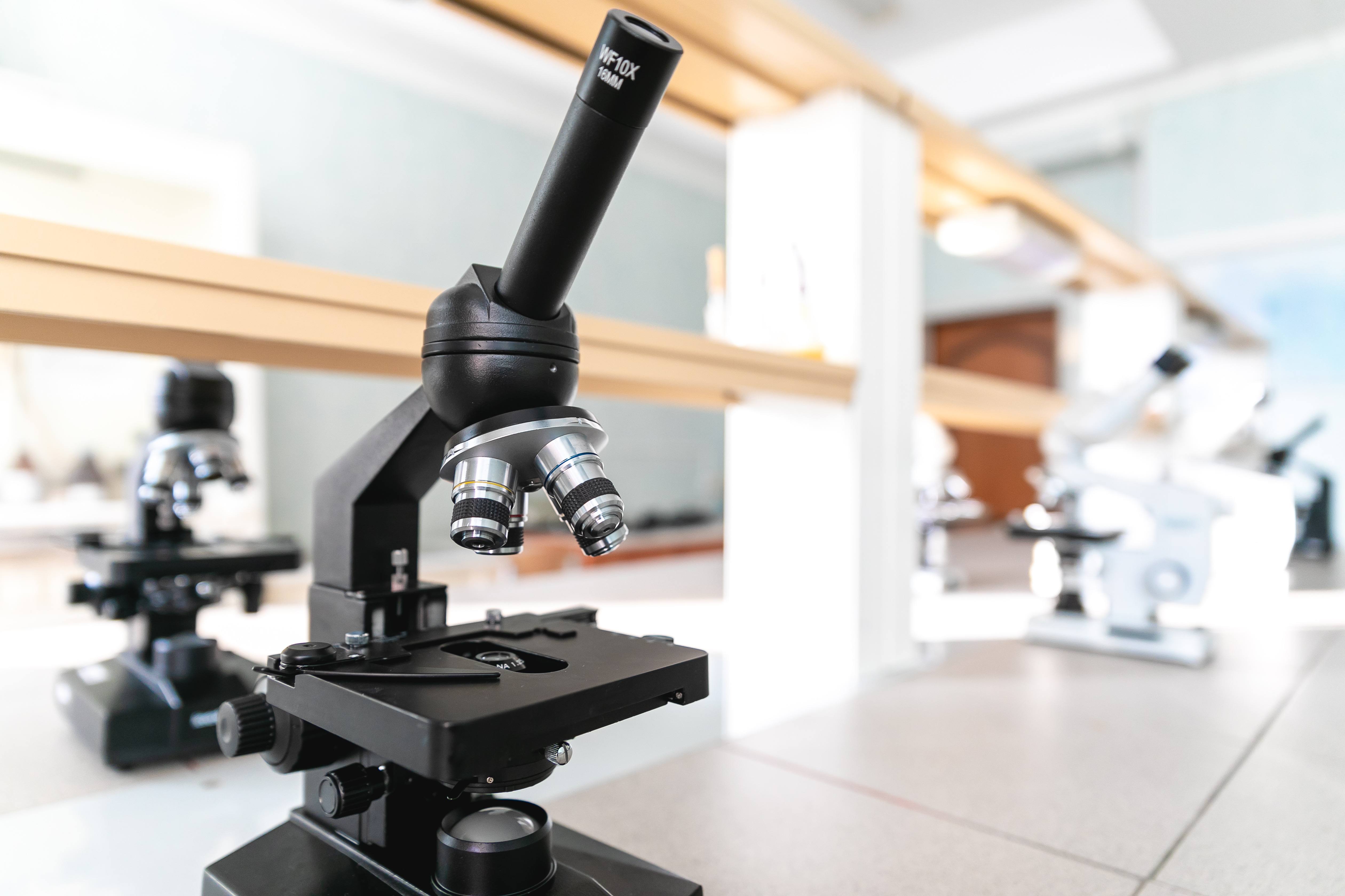 Экологи СГТУ провели онлайн мастер класс для всероссийской летней школы молодых ученых