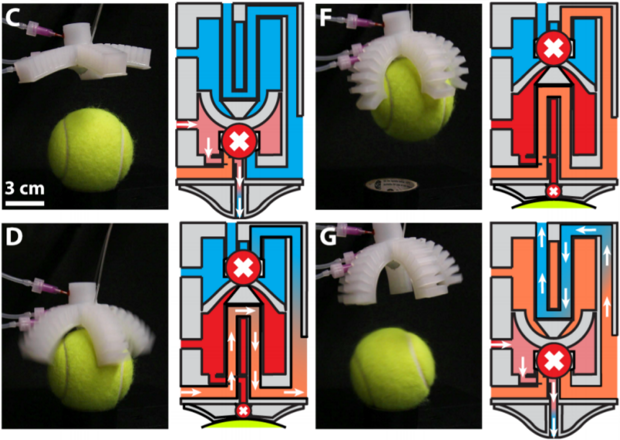 Инженеры создали мягкий клапан для полностью мягких пневматических роботов