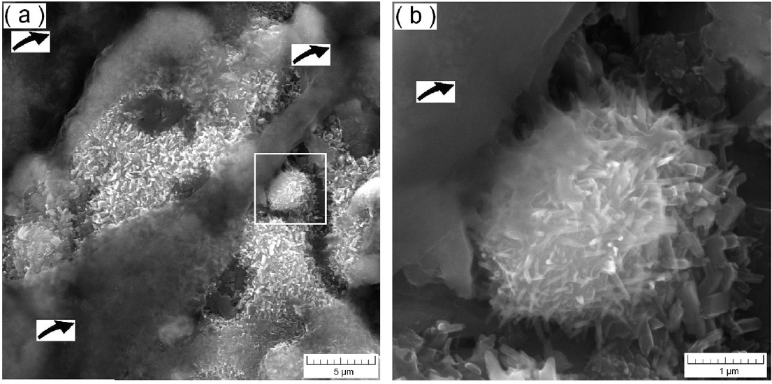 Ученые кафедры СМ получили патент на перспективное изобретение в области инновационной биомедицины