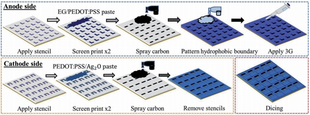 Из ткани сделали микробные топливные ячейки