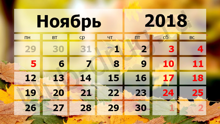 Следующая рабочая неделя будет короче
