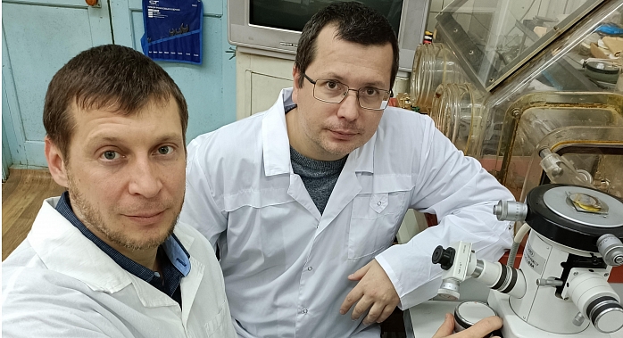 Ученые МБИ разработали танталовое покрытие для имплантатов