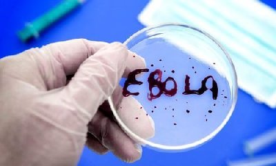 Российские учены создают вакцину от вируса Эбола