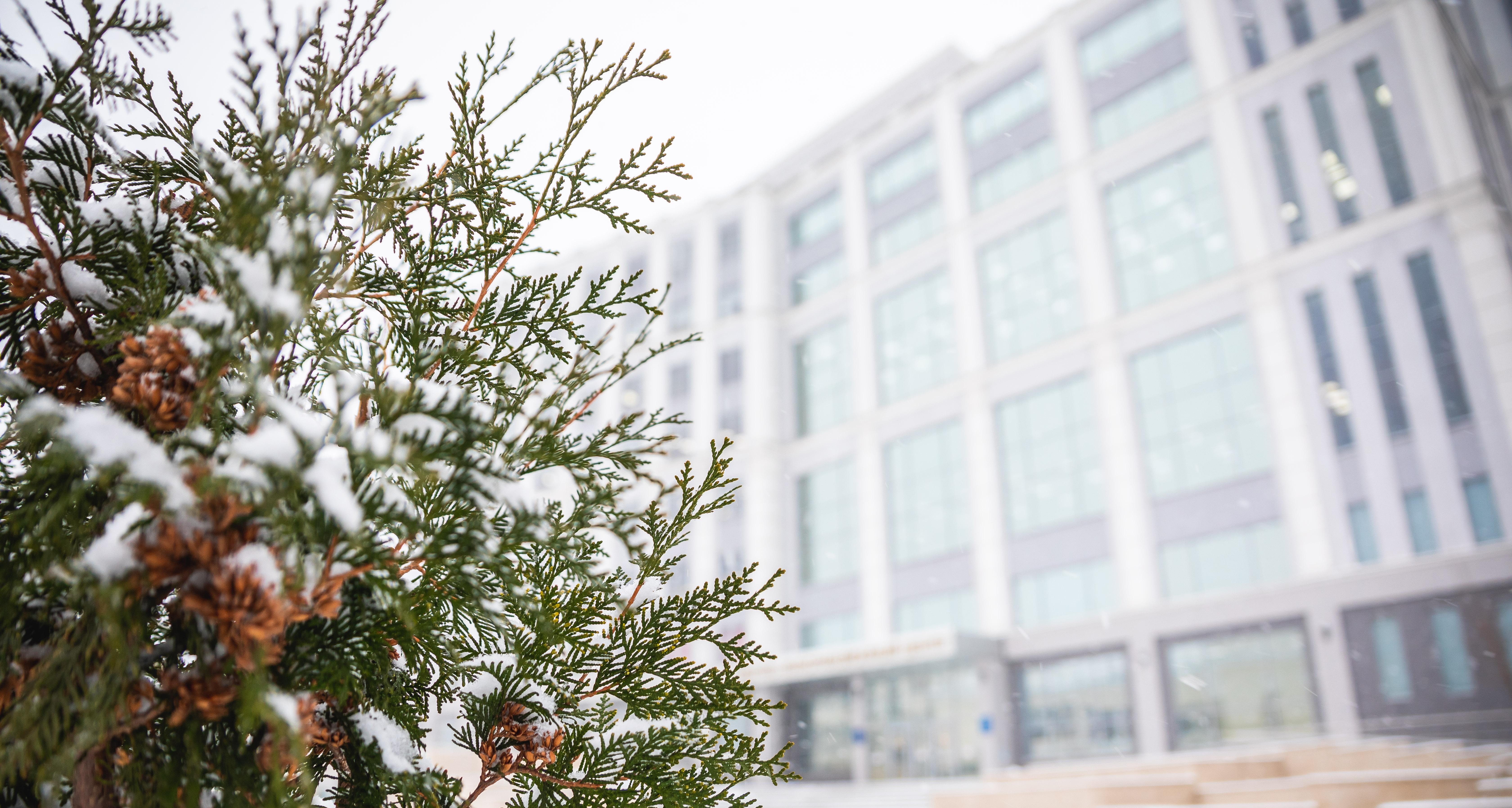 НТБ СГТУ приглашает сотрудников ИММТ на День информации