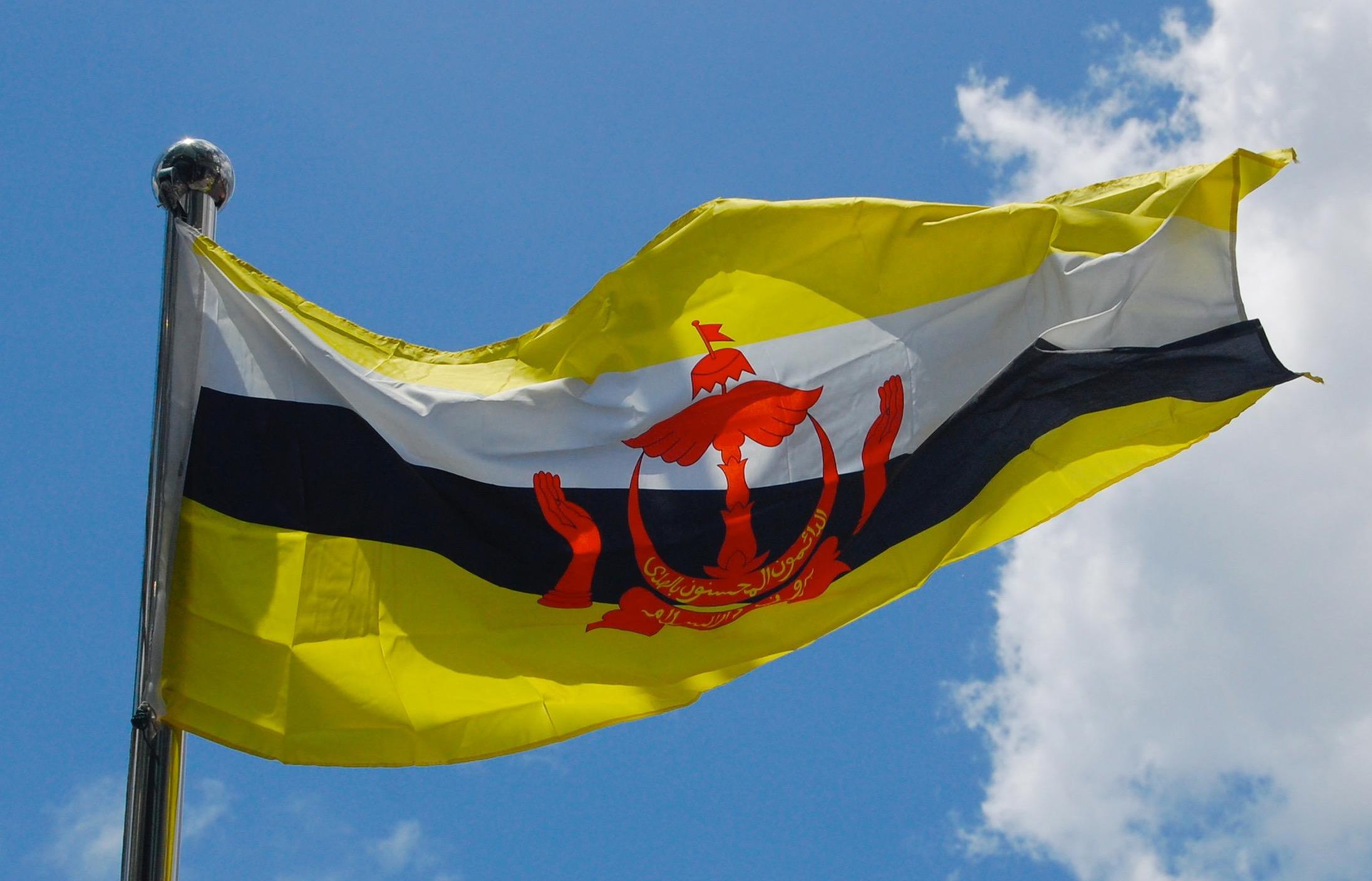 Бруней-Даруссалам выделяет стипендии для российских студентов