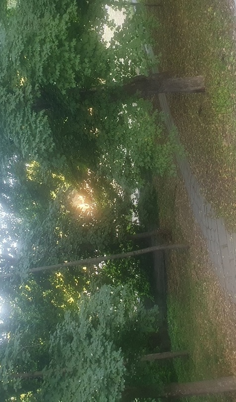 Приглашаем  Вашего ребенка на летний отдых