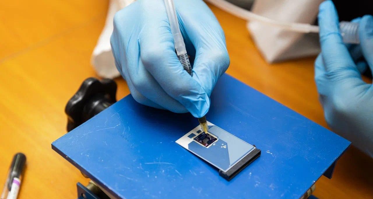 В Политехе разработан новый двумерный материал для «электронного носа»