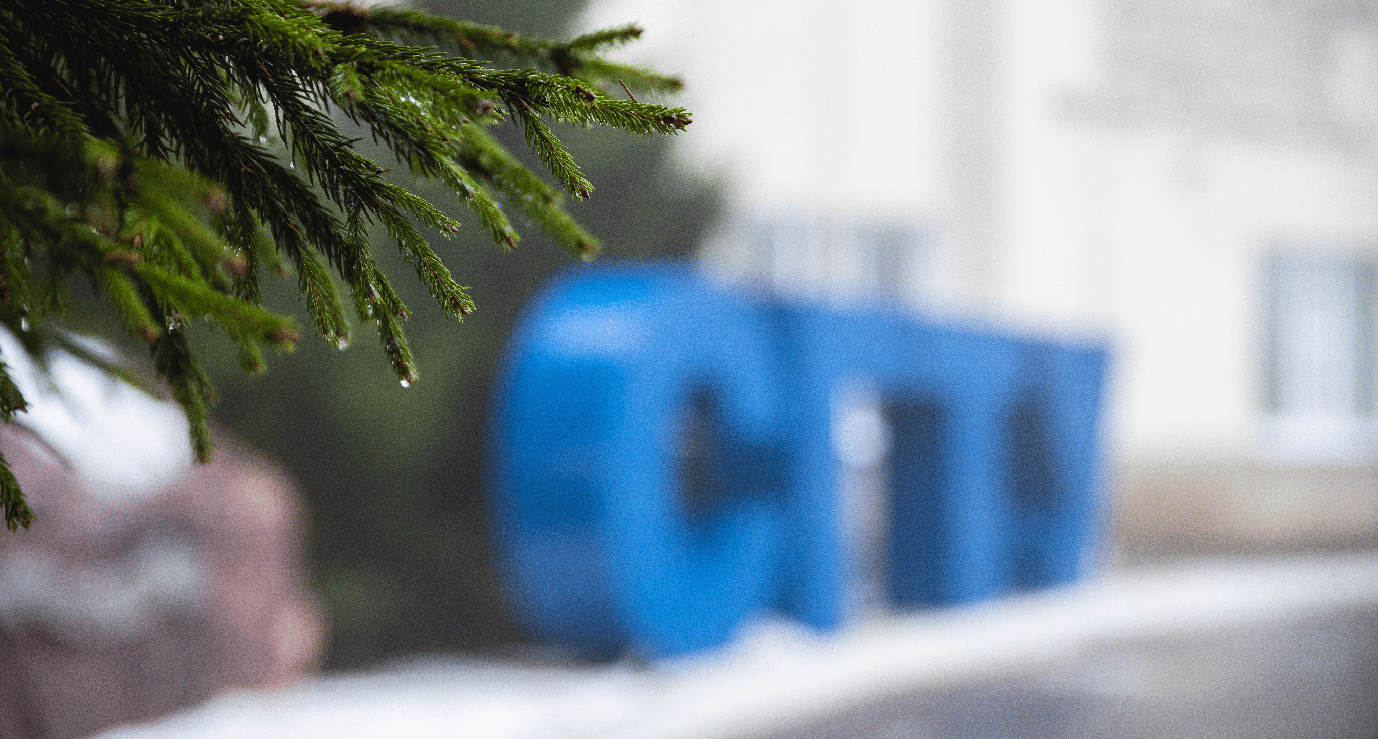 Профком сотрудников СГТУ организует поездку в Хвалынск 