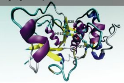 Доцент ЭКЛ сделал доклад на международной научной конференции 