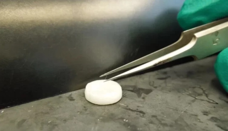 При помощи 3D-принтера выращены волосяные луковицы 