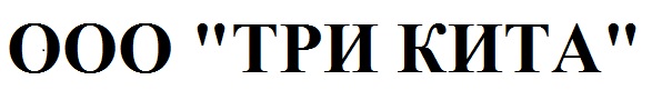 Встреча студентов профиля «Теплогазоснабжение и вентиляция» направления «Строительство» с представителями группы компаний «Три кита»