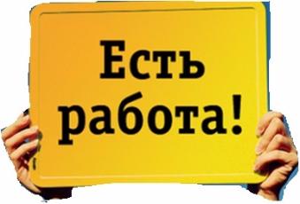 Выпускники колледжей и студенты вуза приглашаются к участию в программе «Первое рабочее место»