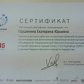 Сотрудник ИнЭТС приняла участие в интенсиве "Зимний остров 2035" в г. Сочи