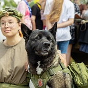 Прошел Профмарафон СГТУ «Во славу Отечества»