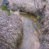 Преподаватели и студенты ЭКЛ осуществили историко-экологическую экспедицию