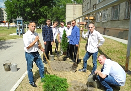 Выпускники СКМиЭ традиционно высадили деревья