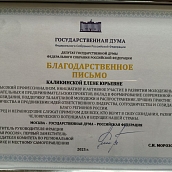Заместитель директора ИнПИТ отмечена Благодарственным письмом депутата Государственной Думы 
