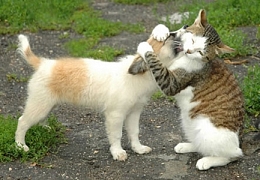 21 января – Международный день объятий