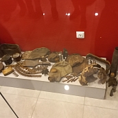 Иностранные слушатели курсов русского языка посетили музей истории СГТУ 