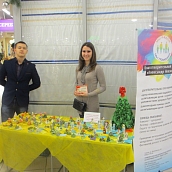 Зимний сезон праздничных волонтерских инициатив  в 2016 году дал начало  новым студенческим проектам