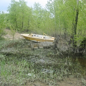 Студенты ЭКЛ – участники акции «Чистый берег»