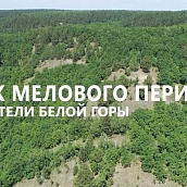 Открытие цикла встреч «Приходи на меня посмотреть» 
