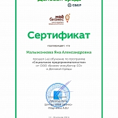 Преподаватель и студенты СЭИ прошли обучение  по программе «Социальное предпринимательство»