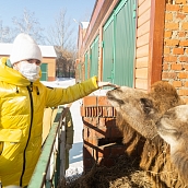 Политеховцы отдохнули в парке отдыха «Хвалынь»