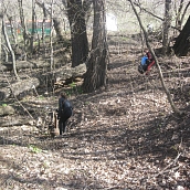 Студенты и преподаватели ЭКЛ-участники Всероссийского экологического субботника