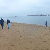 Студенты ЭКЛ приняли участие во Всероссийской акции «Чистый берег»