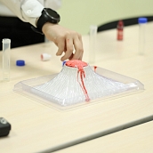 В Институте УРБАС прошла Всероссийская конференция для школьников