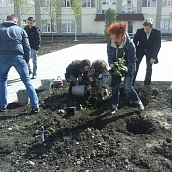 Преподаватели и студенты ЭКЛ приняли участие в высадке роз