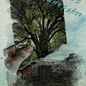 Определены победители конкурса плакатов в рамках региональной олимпиады «Техносферная безопасность»