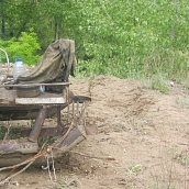 Студенты ЭКЛ – участники акции «Чистый берег»