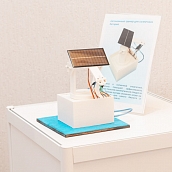 В СГТУ определили победителей акселерационной программы «Охотники за головами»