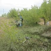 Студенты ЭКЛ – участники акции «Чистый берег»