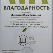 Профессор СЭИ – спикер на Летней школе молодых ученых «Приоритет 2030»