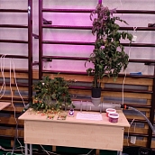 Электрические и электронные приборы для чудо-урожая