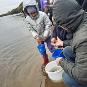 Доцент кафедры приняла участие в проекте «Водорослям крышка: вверх по Волге»