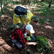 Студенты экологи вернулись из межвузовской экспедиции «Дорогами Н.И. Вавилова»