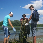 Кафедра ЭКЛ - участник экоакции «Волге –чистые берега»