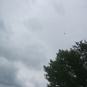 Студенты ЭКЛ – участники акции «Чистый берег»