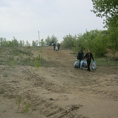 Студенты ЭКЛ – участники акции «Чистый берег»